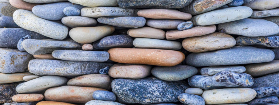 Article exploring confidence, assertiveness and leadership skills through research-based insights by Julia Milner